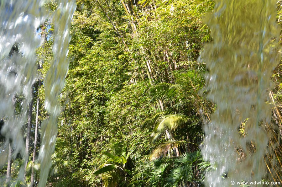 DL-Jungle-Cruise-021