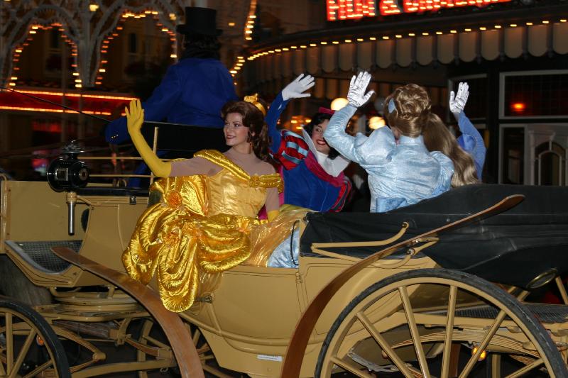 DLP enchanted fairytale ceremony