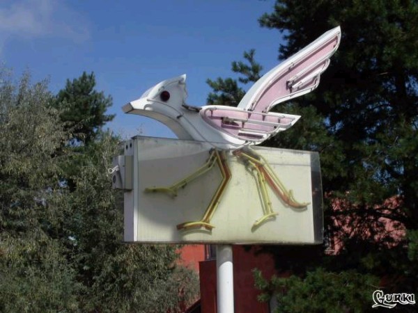 DLP hotel santa fe bird