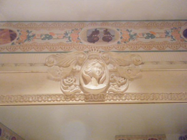 DLP24