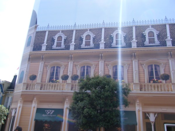 DLP31