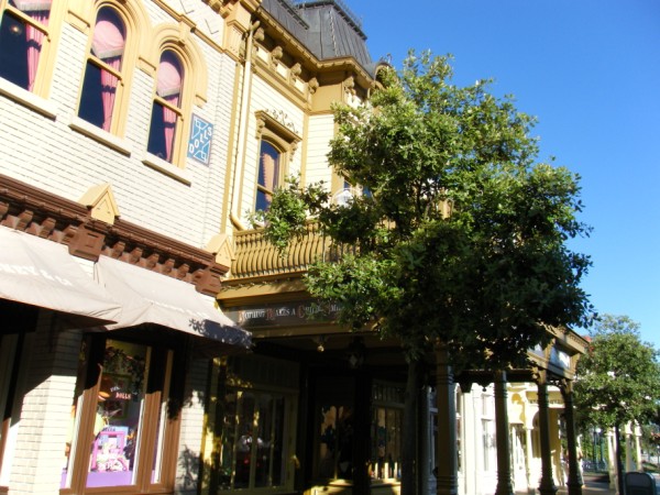 DLP31a