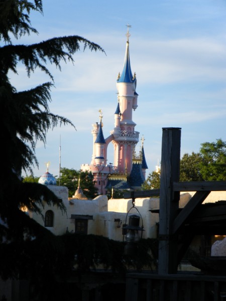 DLP44