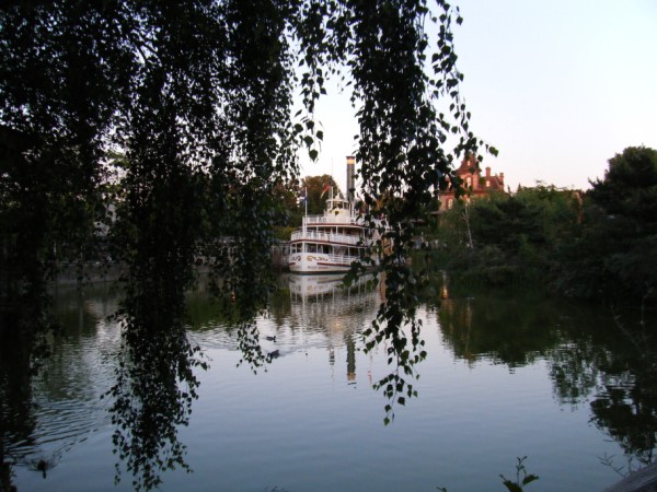 DLP45