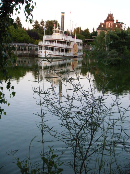 DLP46