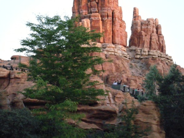 DLP49