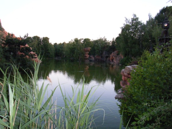 DLP51