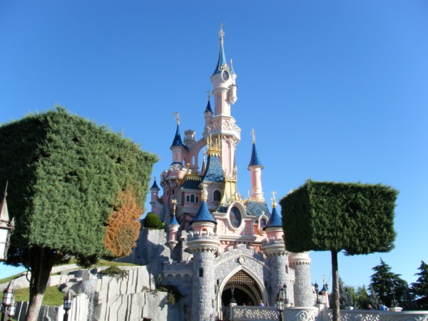 DLP61