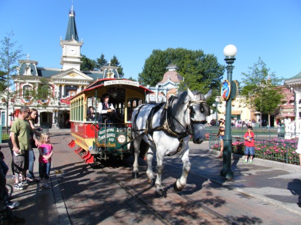 DLP75