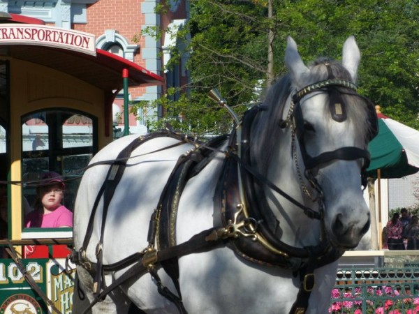 DLP76