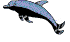 dlphswm