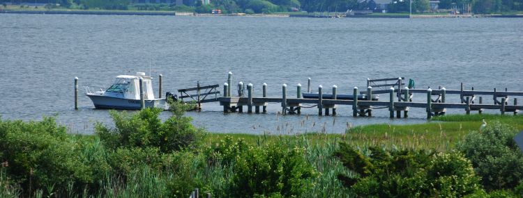 Dock