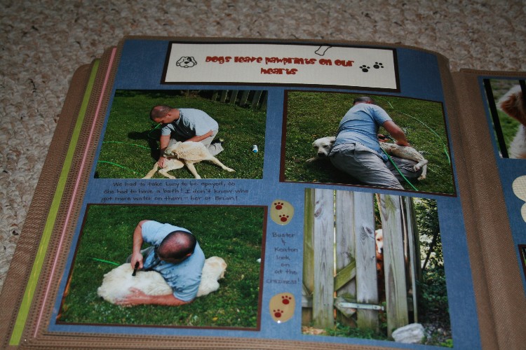 dogs_1_small