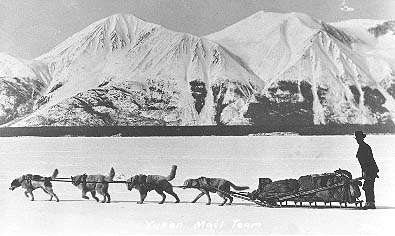 dogsled