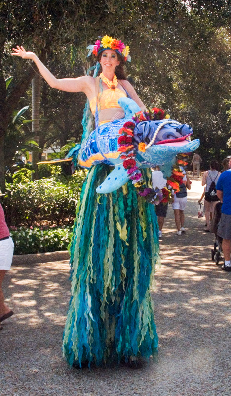Dolphin Character