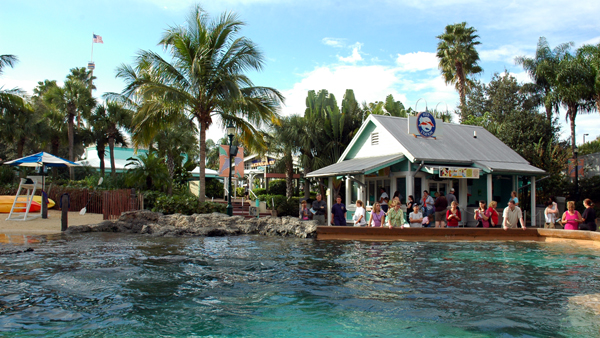 Dolphin Cove Feeding Station