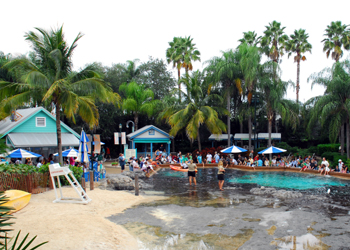 Dolphin Cove