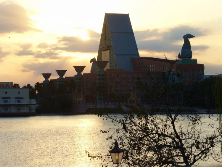 Dolphin in winter afternoon