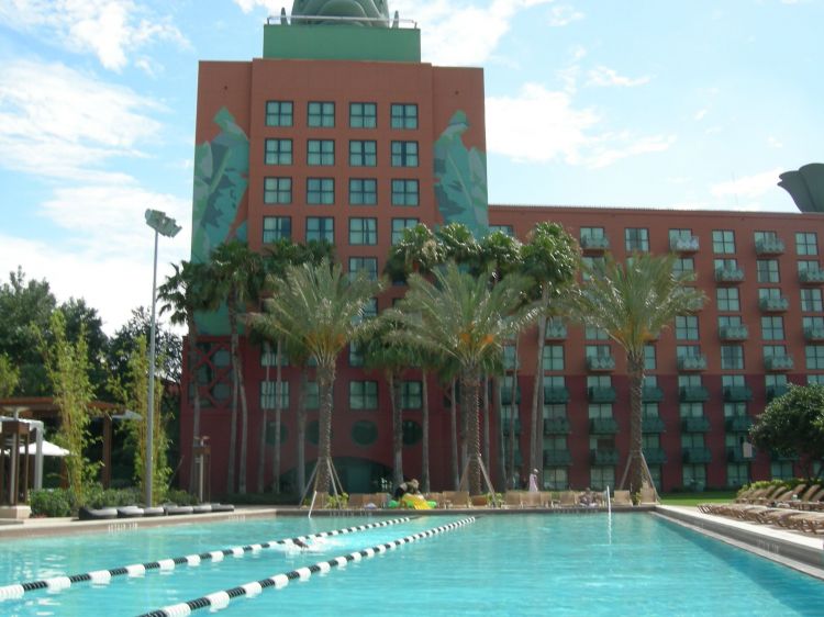 Dolphin lap pool