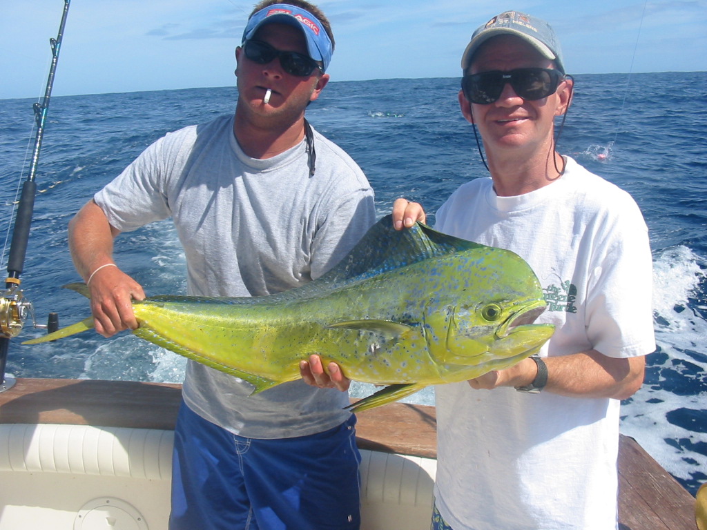 Dolphin (Mahi-Mahi)