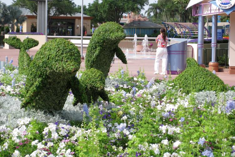 Dolphin topiary at Flower & Garden