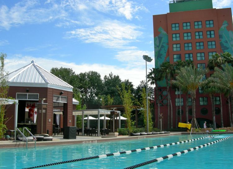 Dolphin_lap_pool_2