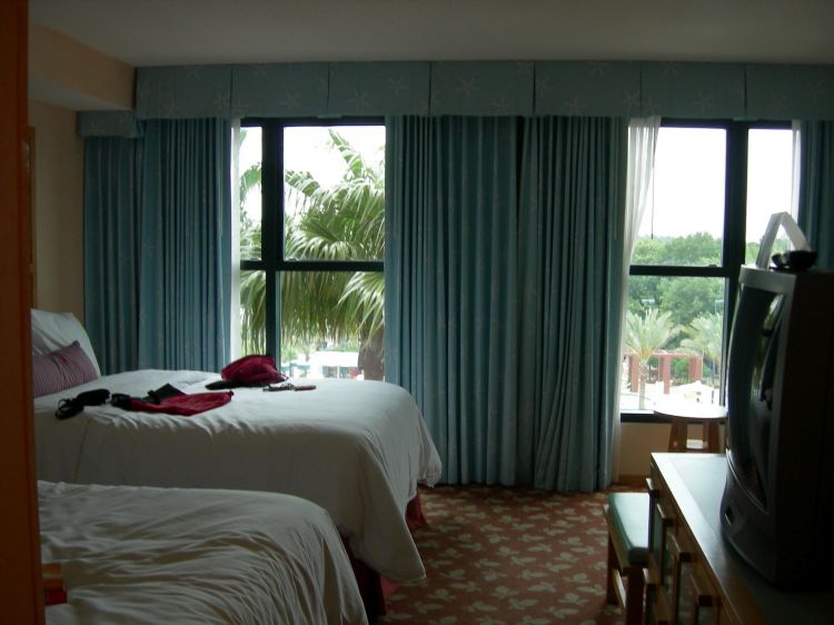 Dolphin_room