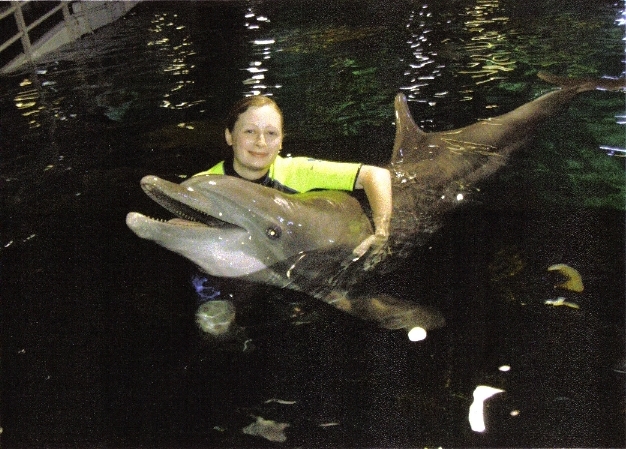 Dolphins in Depth