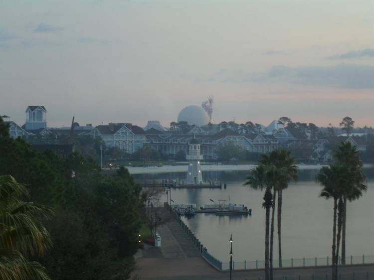 dolphinview3