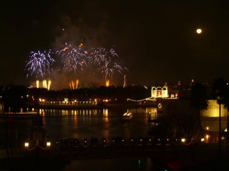 dolphinview_fireworks