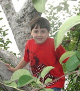 Domenic