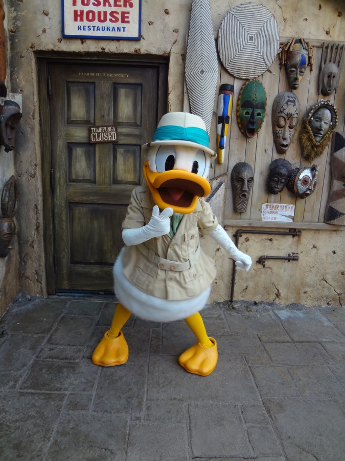 Donald Duck