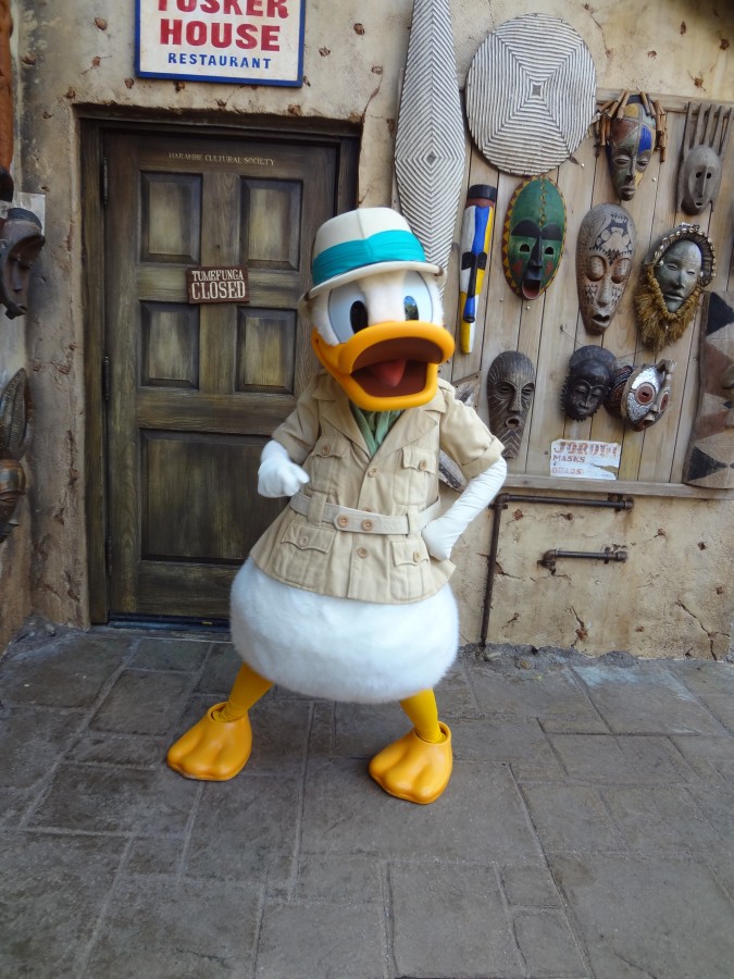 Donald Duck