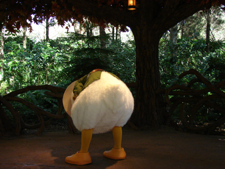 Donald laughing