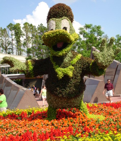 Donald topiary