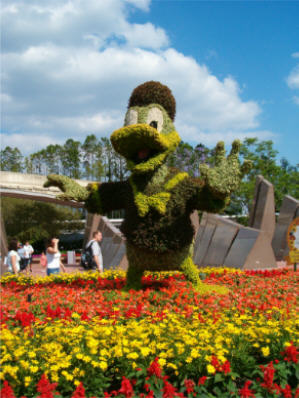 Donald