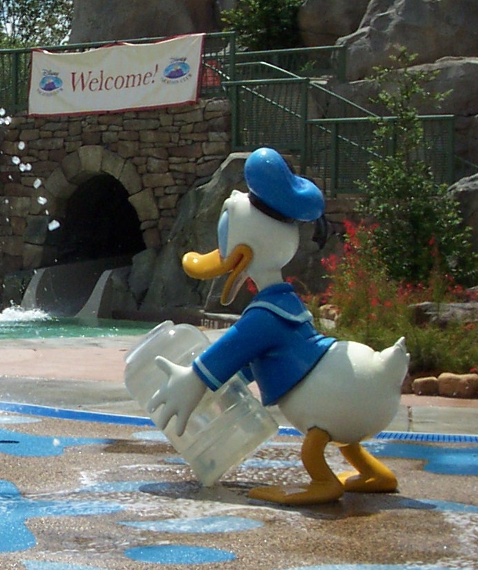donaldssr