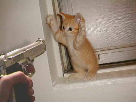 Don't Make Me Do It