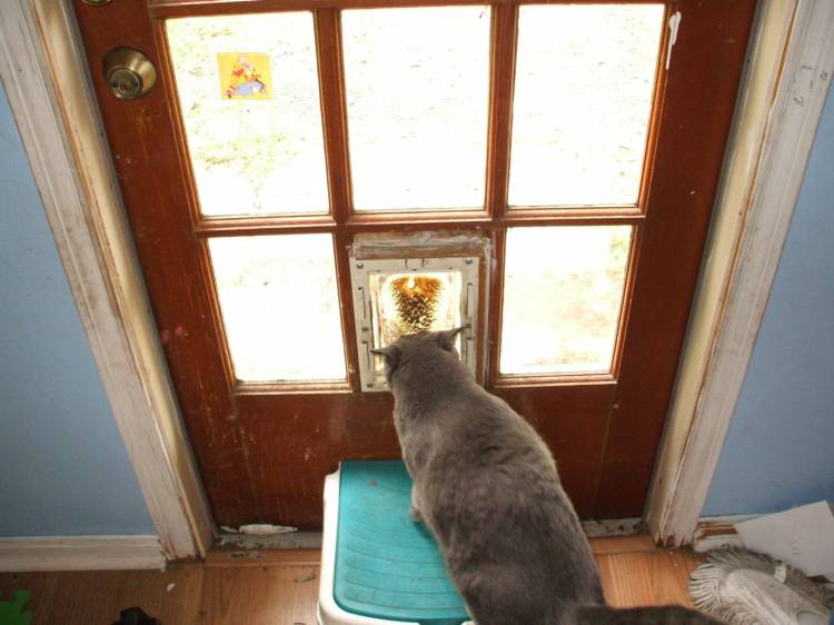door