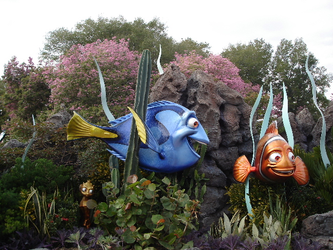 Dory and Marlin