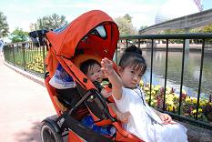 Double Stroller