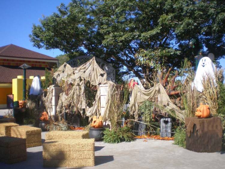 DowntownDisney-HalloweenGarden