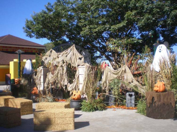 DowntownDisney-HalloweenGarden2