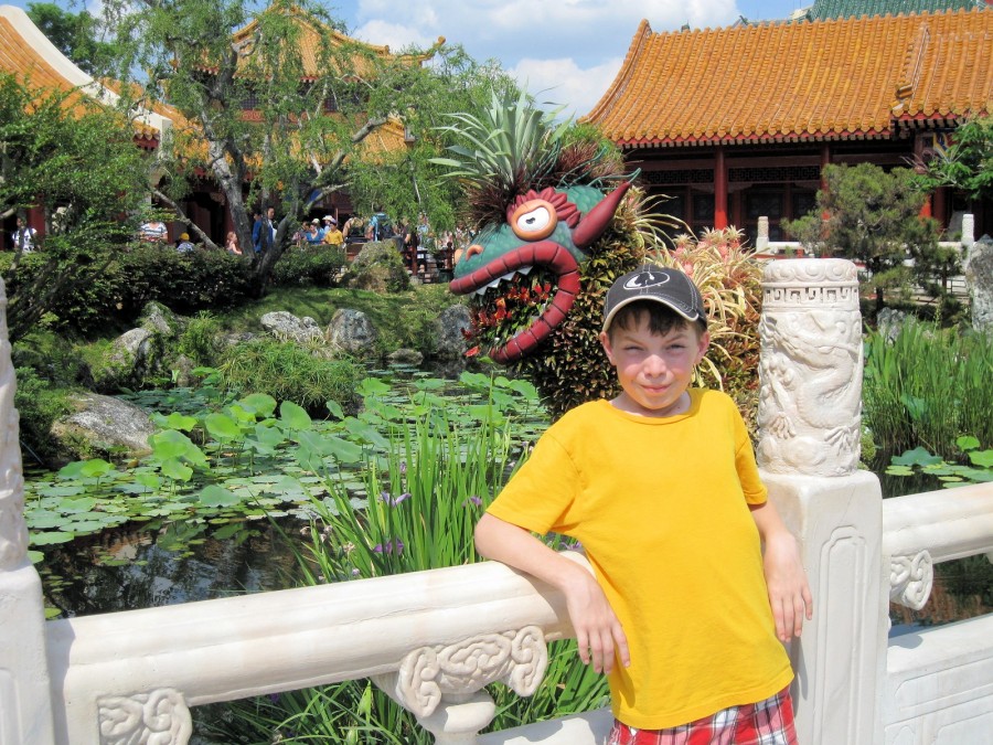Dragon Tamer