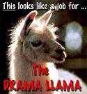 Drama_Llama
