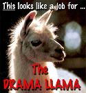 Drama_Llama