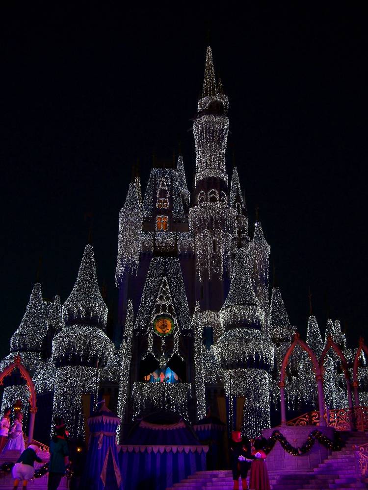 Dream Lights