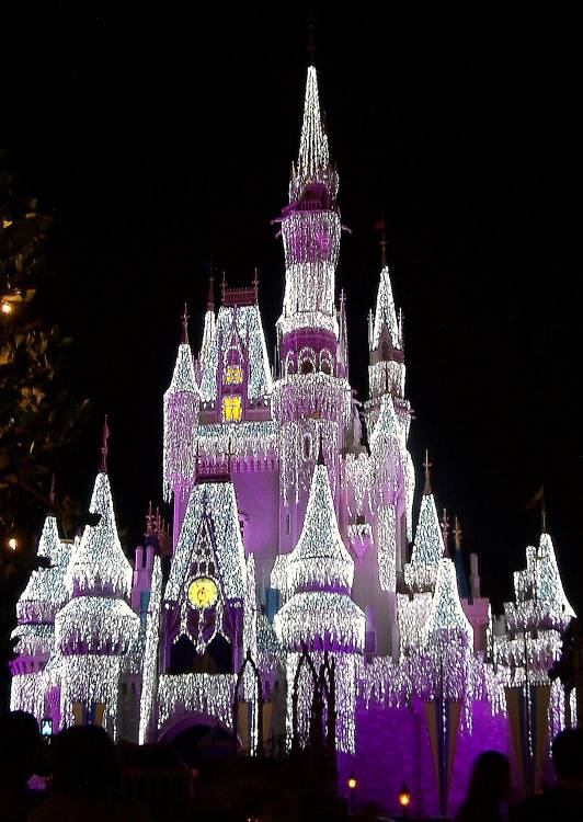 Dream Lights