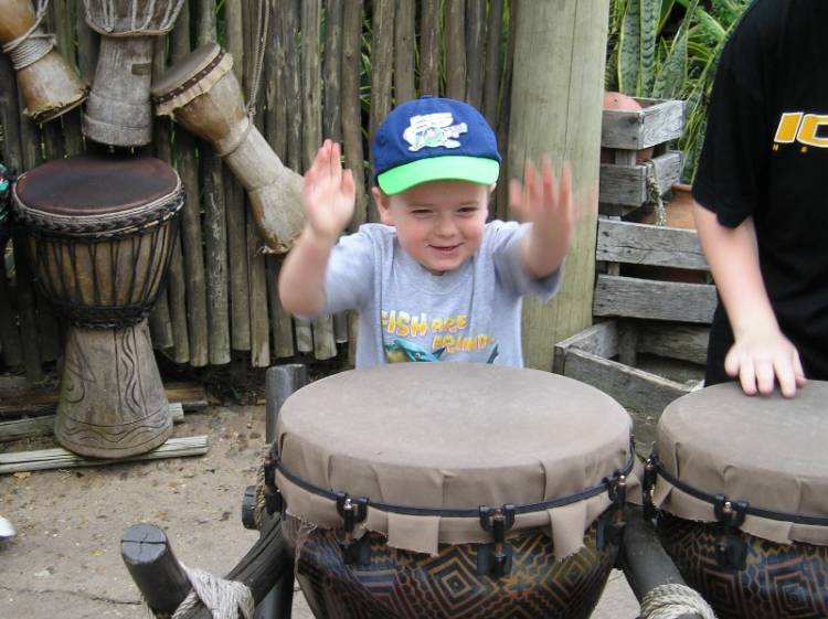 Drumming away in Animal Kingdom