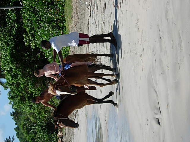 DS bareback at St. Lucia